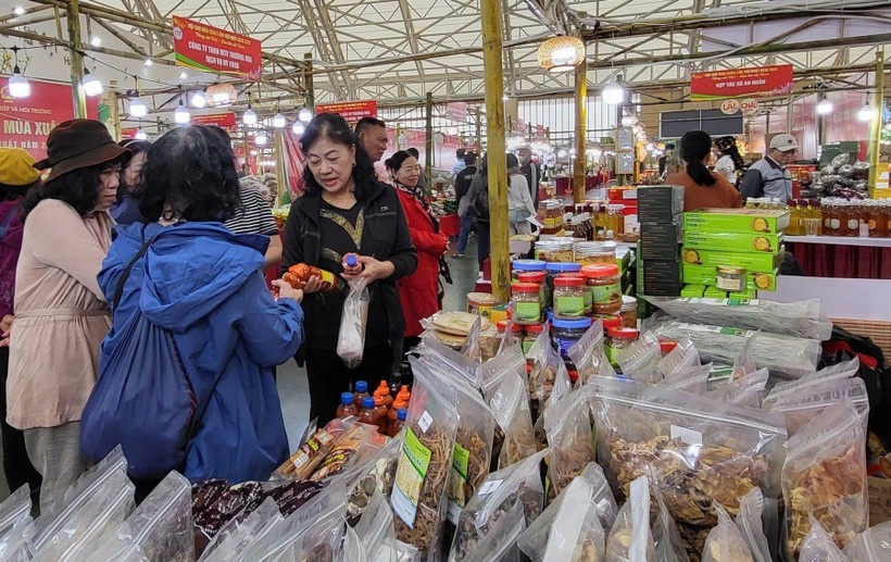 Spring Fair 2026: Vietnam can learn from Czech experience in business connectivity